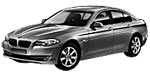BMW F10 B25C7 Fault Code